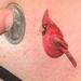 Tattoos - Small Bird - 56420